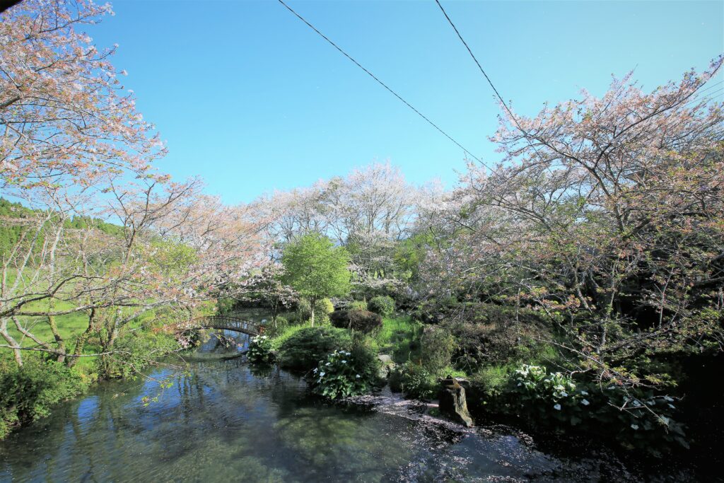 風景｜宮崎県えびの市の鯉料理加久藤温泉
