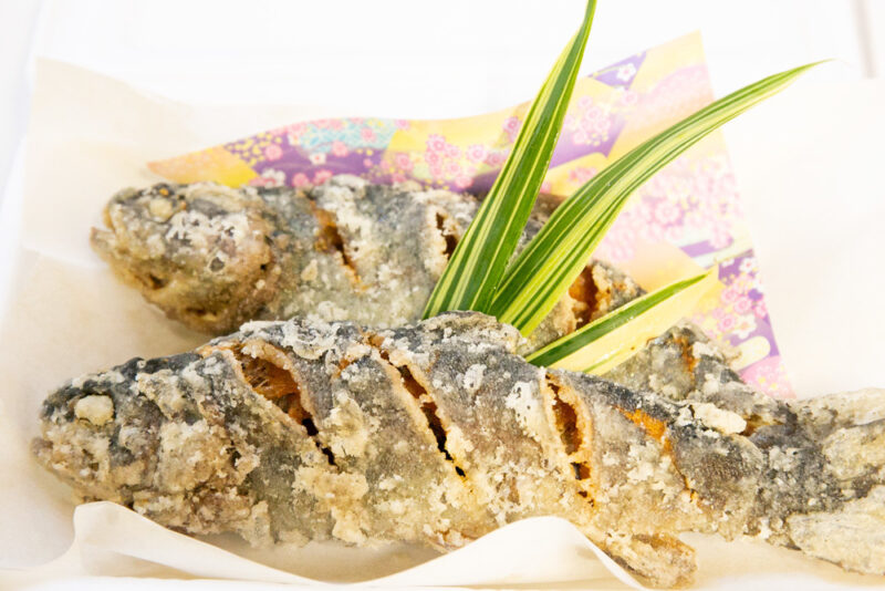 ｜宮崎県えびの市の鯉料理加久藤温泉