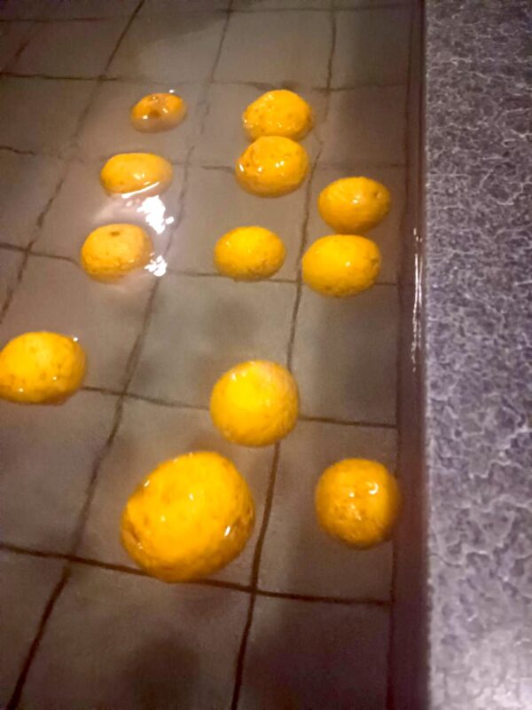 冬至ゆず湯｜宮崎AC県えびの市 加久藤温泉