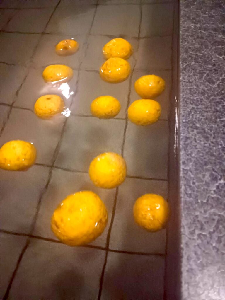 冬至ゆず湯｜宮崎AC県えびの市 加久藤温泉