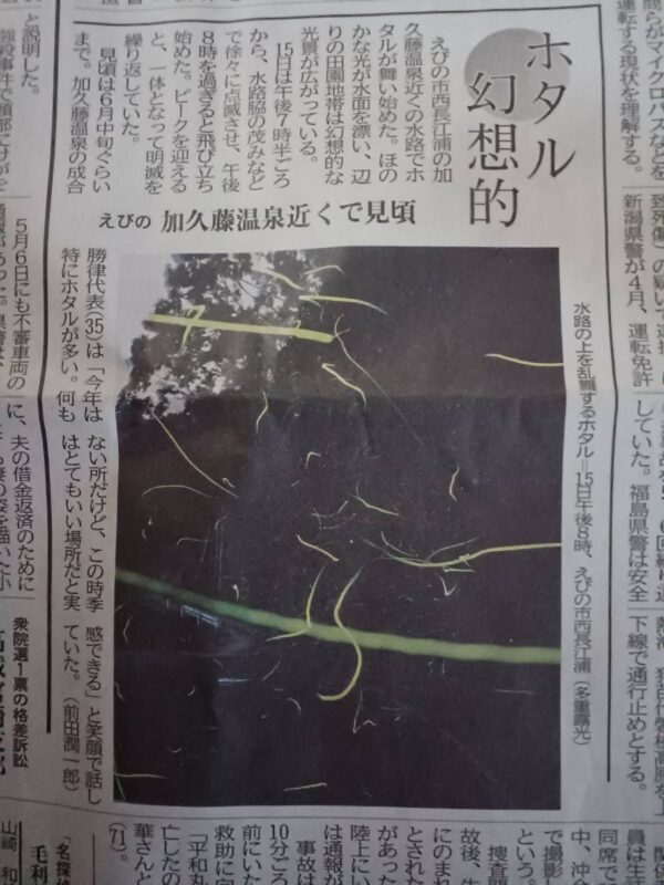 蛍の季節｜宮崎県えびの市の鯉料理加久藤温泉