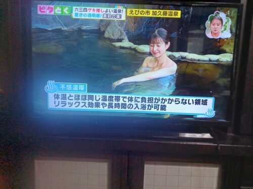 夏季限定！源泉かけ流し温泉「夏料金」のお知らせ| 宮崎県えびの市の鯉料理加久藤温泉