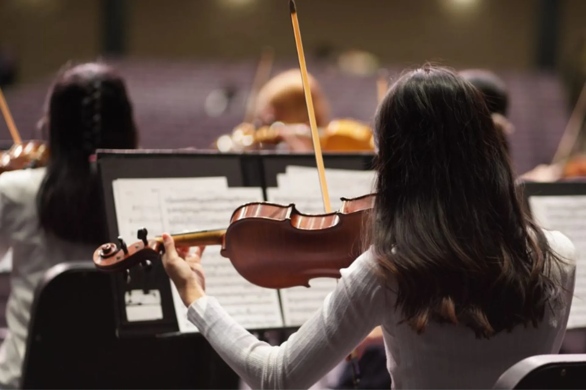画像イメージ｜Violist Yukiko Suzuki ヴィオリスト鈴木友紀子